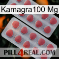 Kamagra100 Mg 19